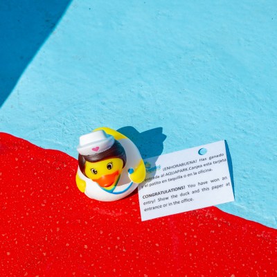 Toy duck with a note on colorful blue and red surface.