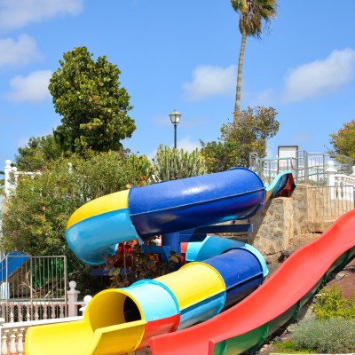 Colorful water slides with palm tree and blue sky in the background.